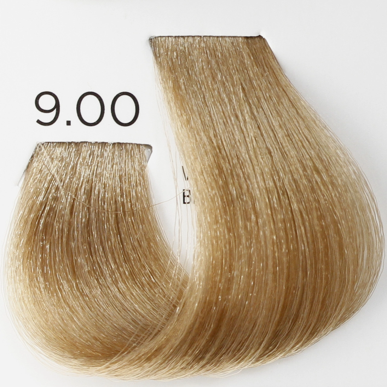 Fő kép